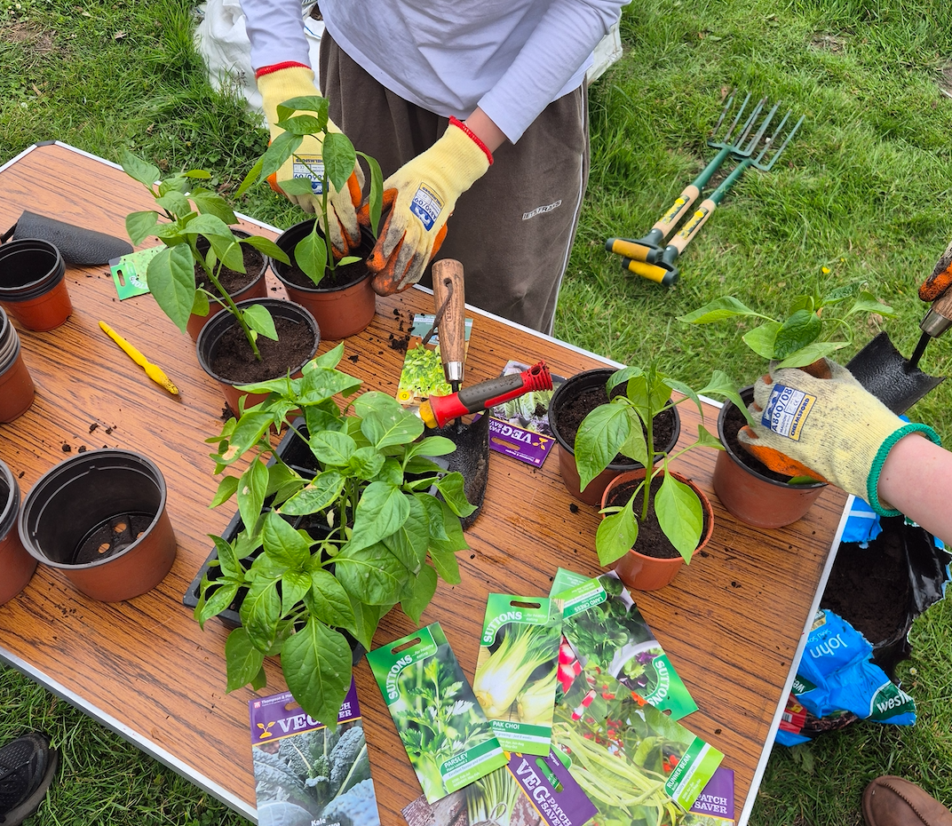 Watton gardening and cooking project