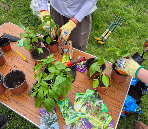 Watton gardening and cooking project